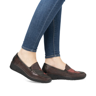 Akita 537 - Brown