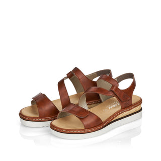 Hines 679 - Brown