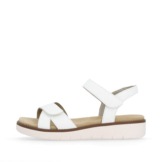Hamilton D20 - White