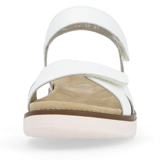Hamilton D20 - White