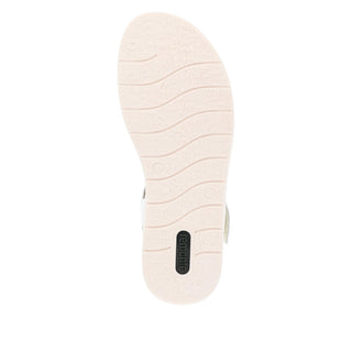 Hamilton D20 - White