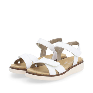Hamilton D20 - White