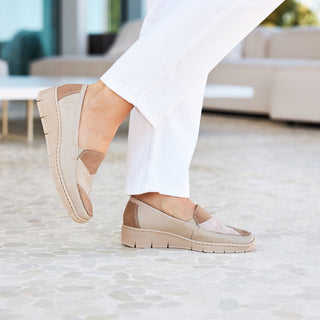 Akita 537 - Cream