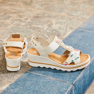 Wright 674 - White