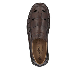 Newton 052 - Brown