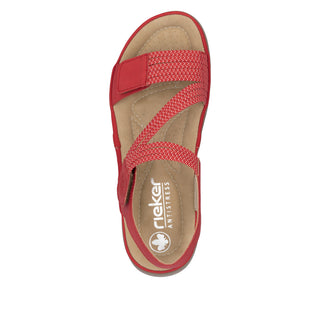 Vegas 648 - Red