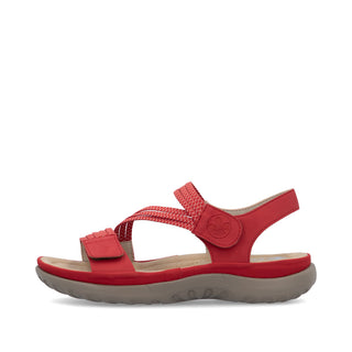 Vegas 648 - Red