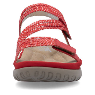 Vegas 648 - Red
