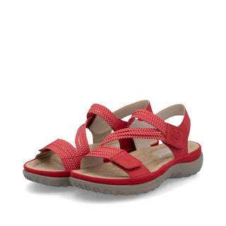 Vegas 648 - Red