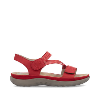 Vegas 648 - Red