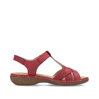 Hertfordshire 659 - Red