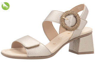 Arezzo D1K - Pale Gold - D1K55-90 - SS27