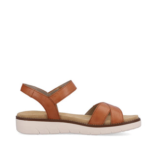 Hamilton D20 - Tan Brown