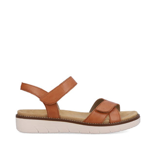 Hamilton D20 - Tan Brown