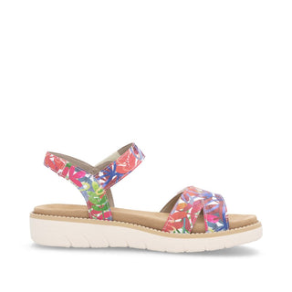 Hamilton D20 -  Multi