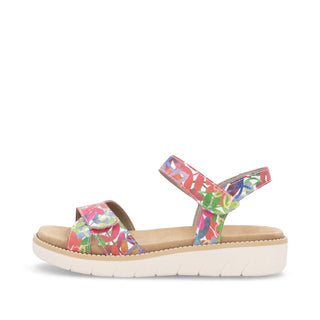 Hamilton D20 -  Multi