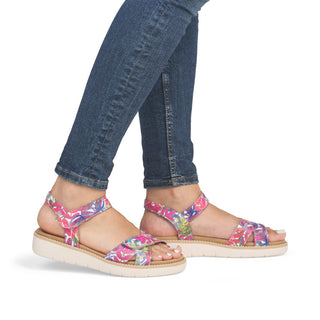 Hamilton D20 -  Multi