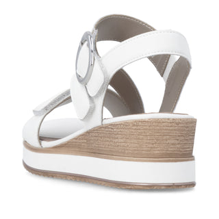 Westley D64 - White
