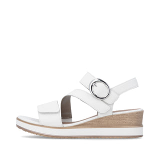 Westley D64 - White