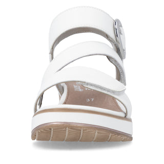 Westley D64 - White
